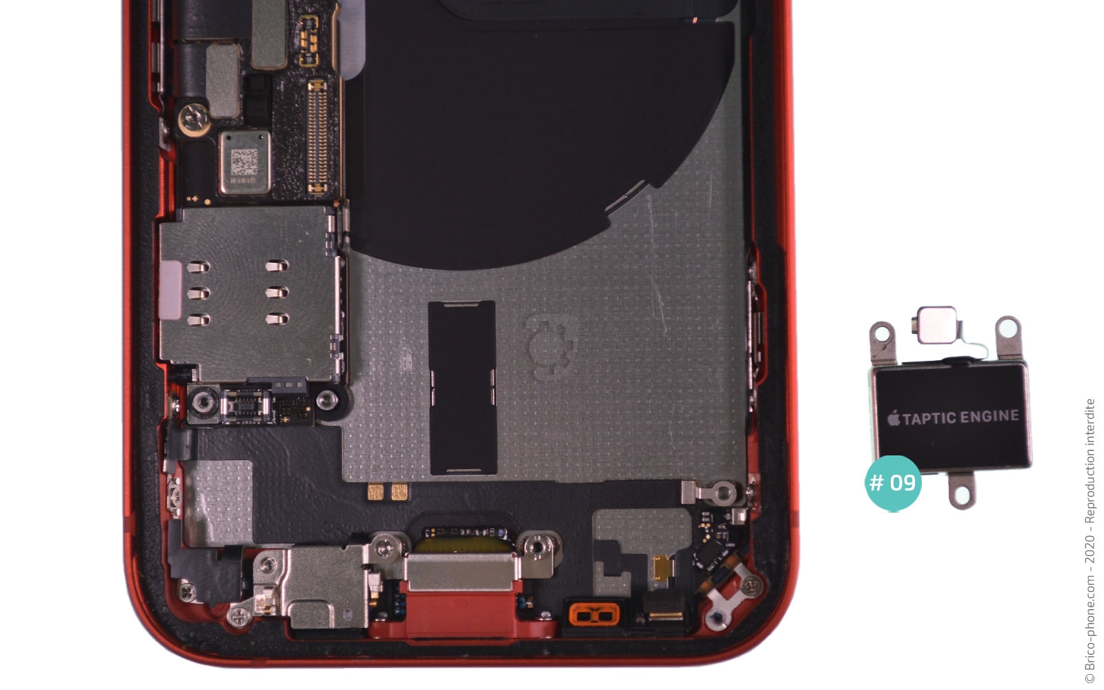 Remplacer le connecteur de charge sur iPhone 12 Mini photo 4