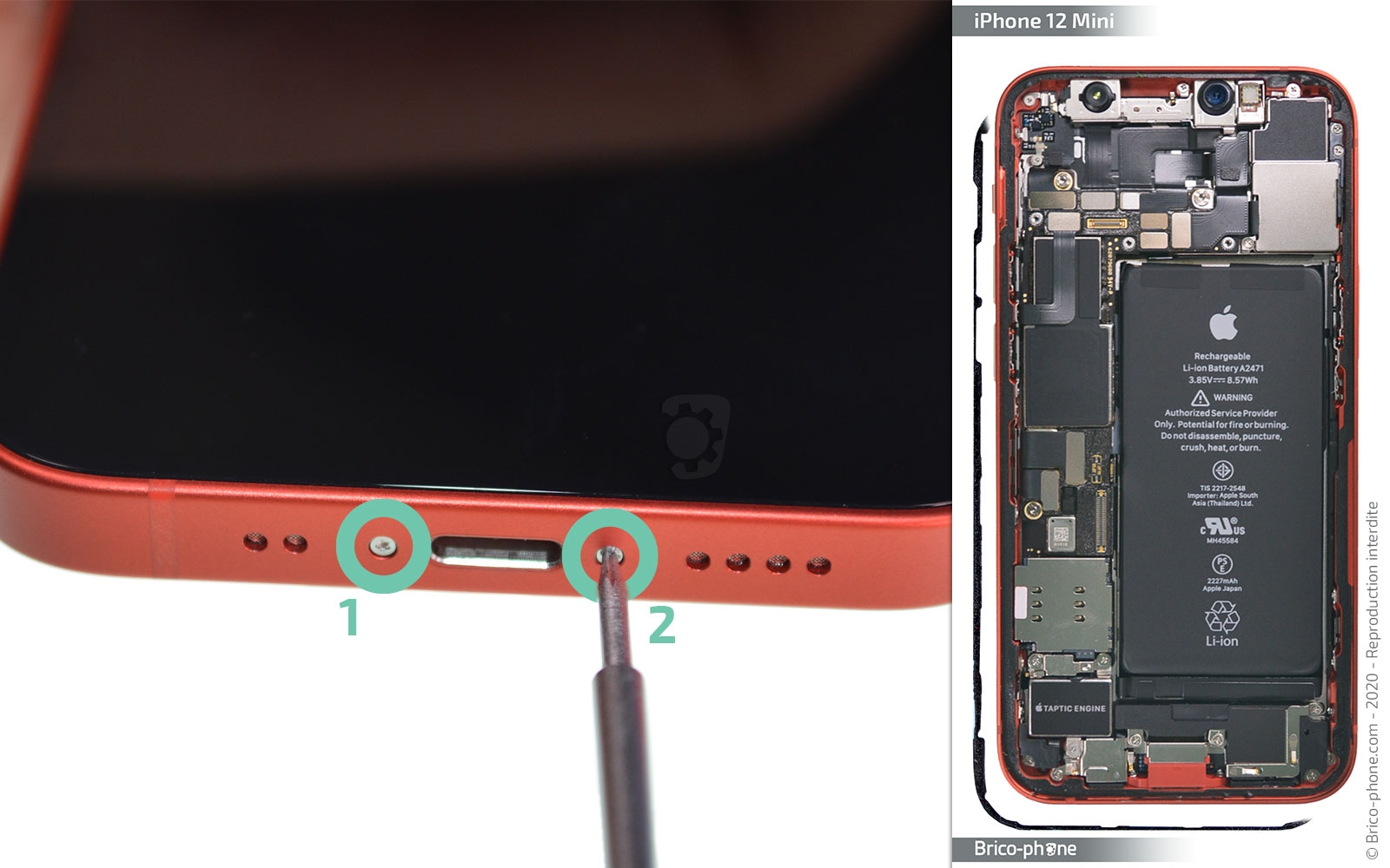Remplacement du Taptic Engine (vibreur) sur iPhone 12 Mini photo 3
