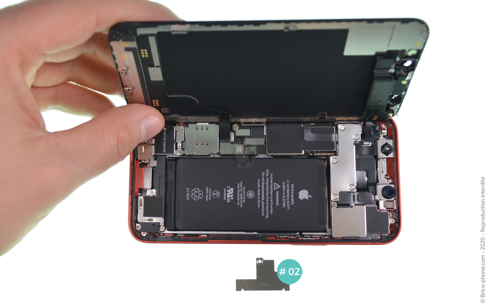 Remplacement du Taptic Engine (vibreur) sur iPhone 12 Mini photo 3