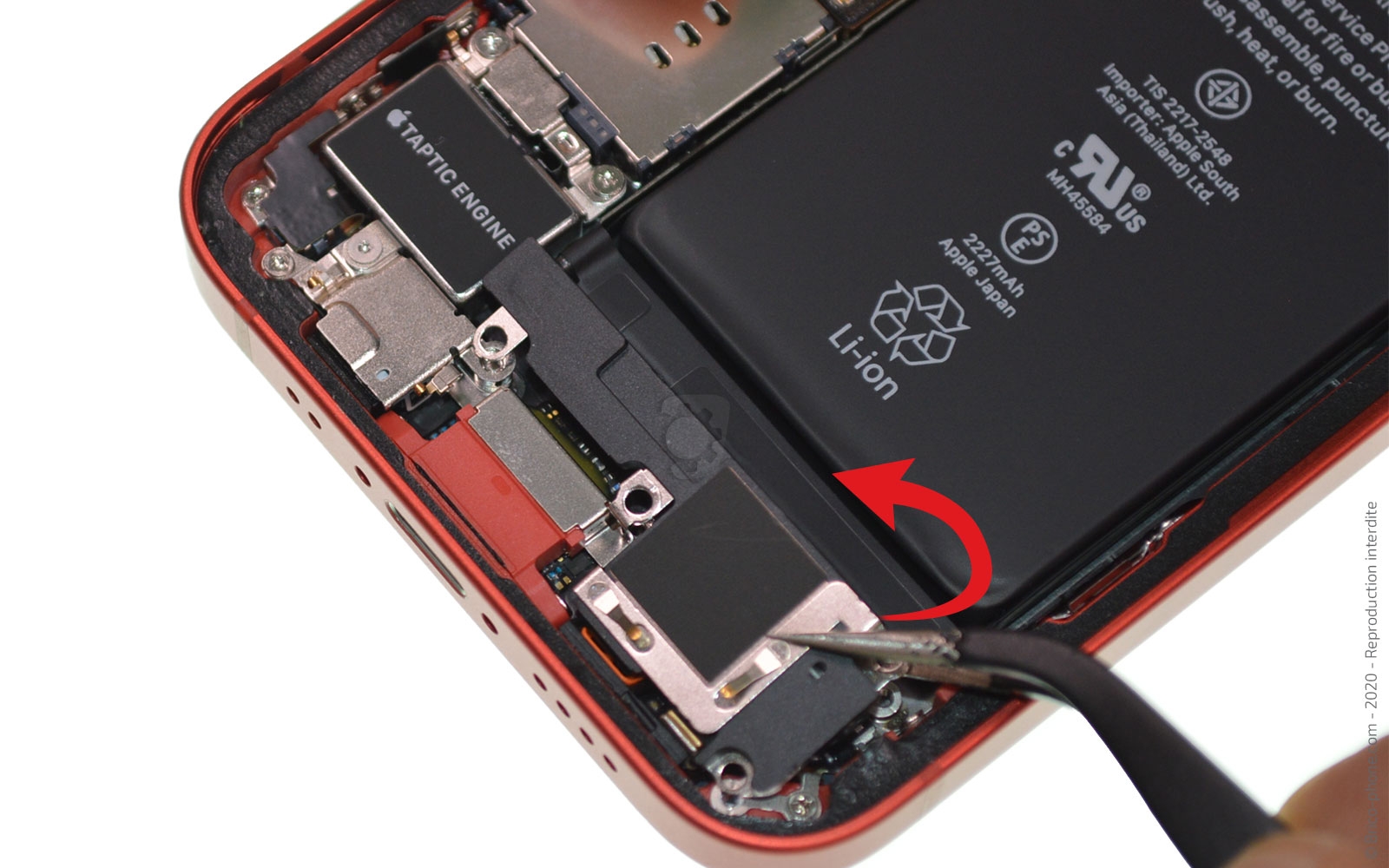 Remplacement du Taptic Engine (vibreur) sur iPhone 12 Mini photo 2