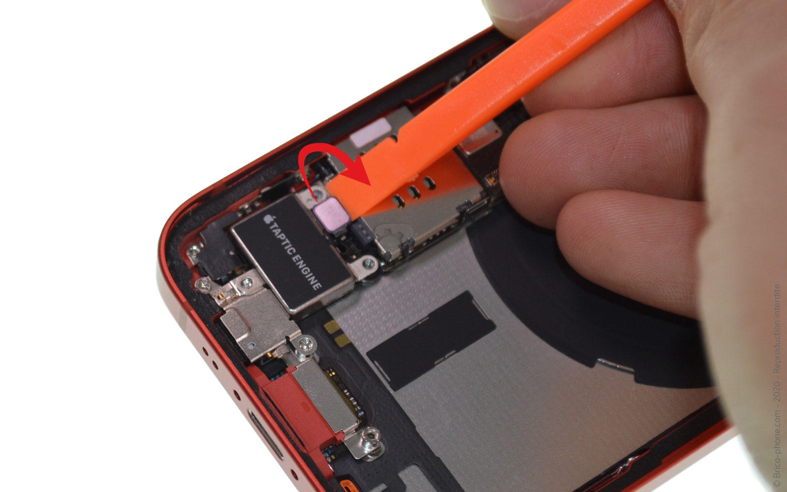 Remplacement du Taptic Engine (vibreur) sur iPhone 12 Mini photo 2