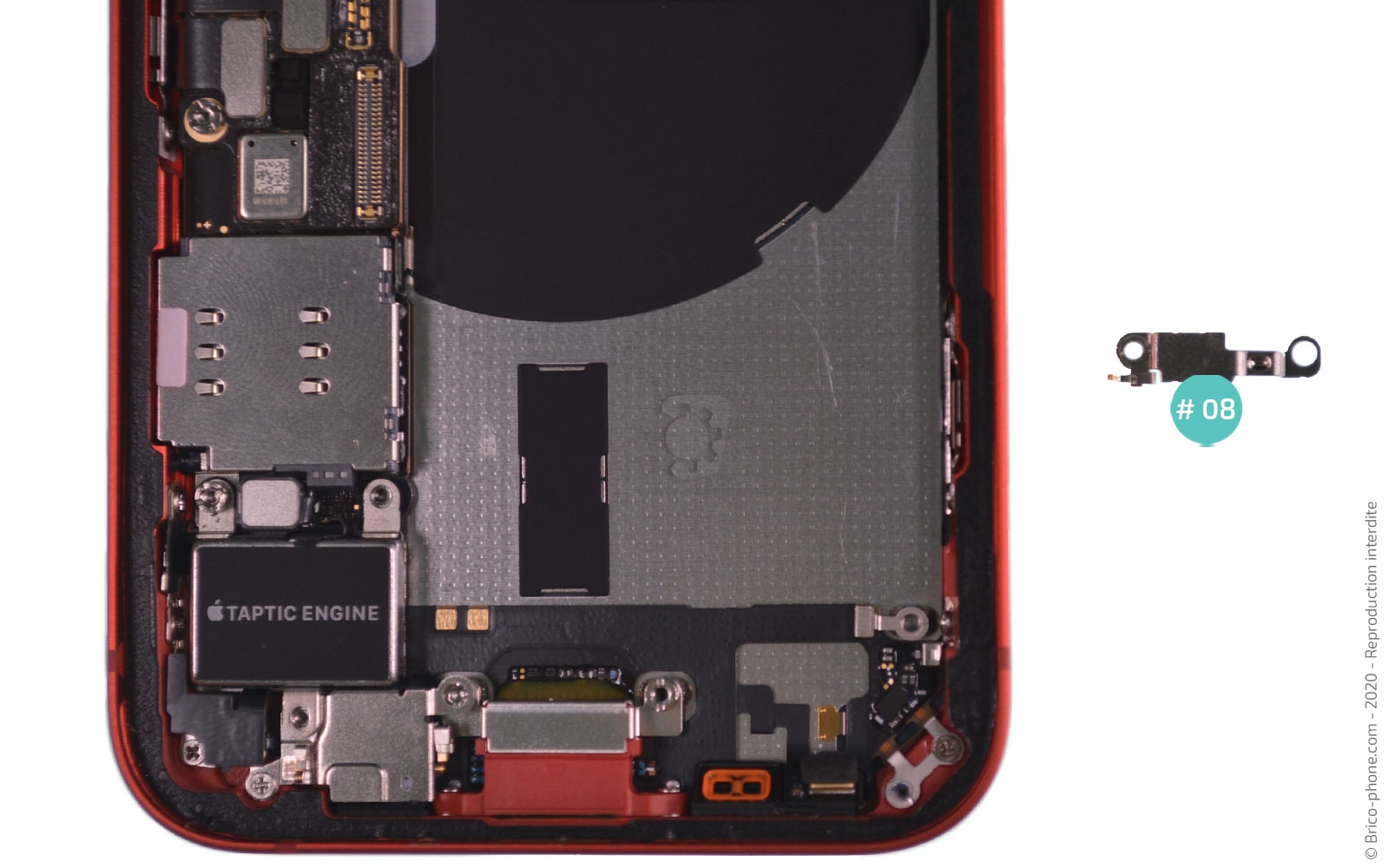 Remplacement du Taptic Engine (vibreur) sur iPhone 12 Mini photo 4