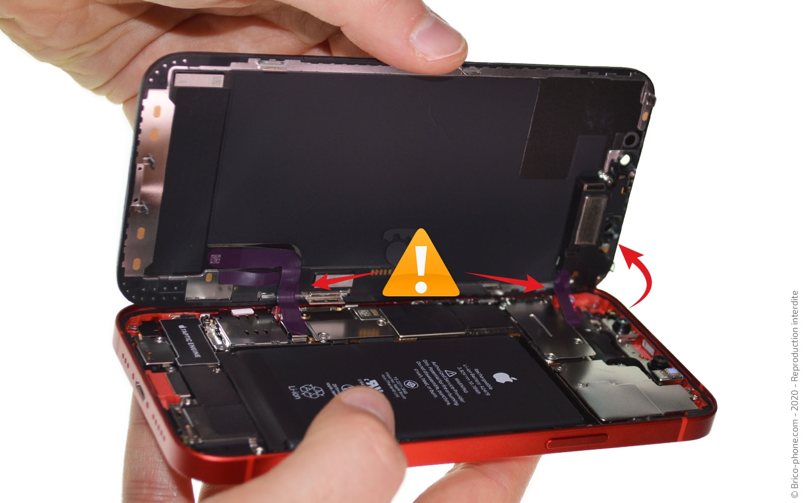 Changement du Taptic Engine sur iPhone 12 photo 2