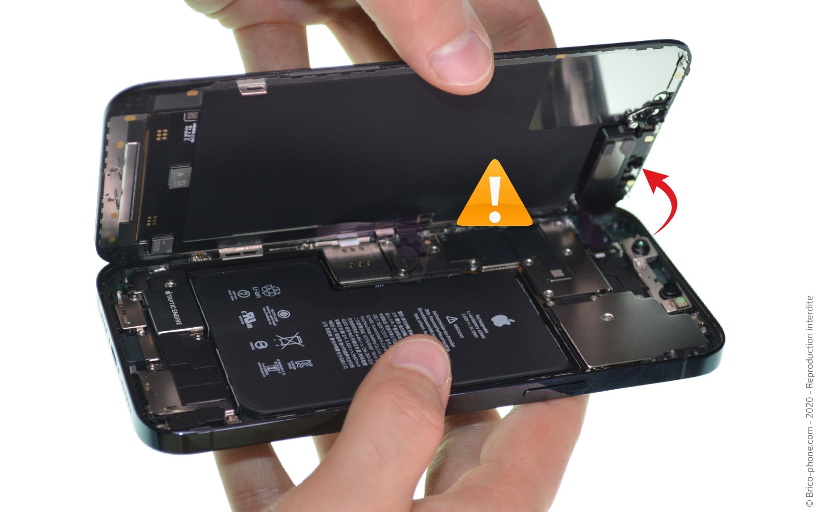 Changement du haut-parleur externe sur iPhone 12 Pro Max photo 4