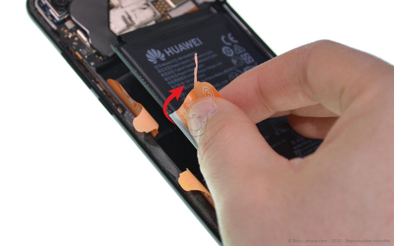 Démontage complet sur Honor View 20 photo 3