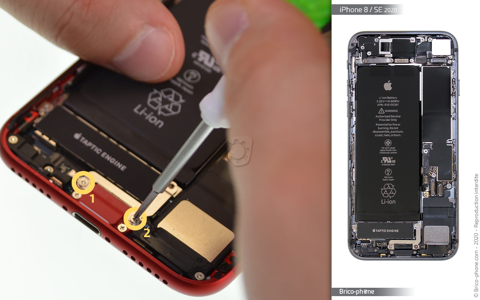 Changement du Taptic Engine (vibreur) sur iPhone SE 2020 photo 2