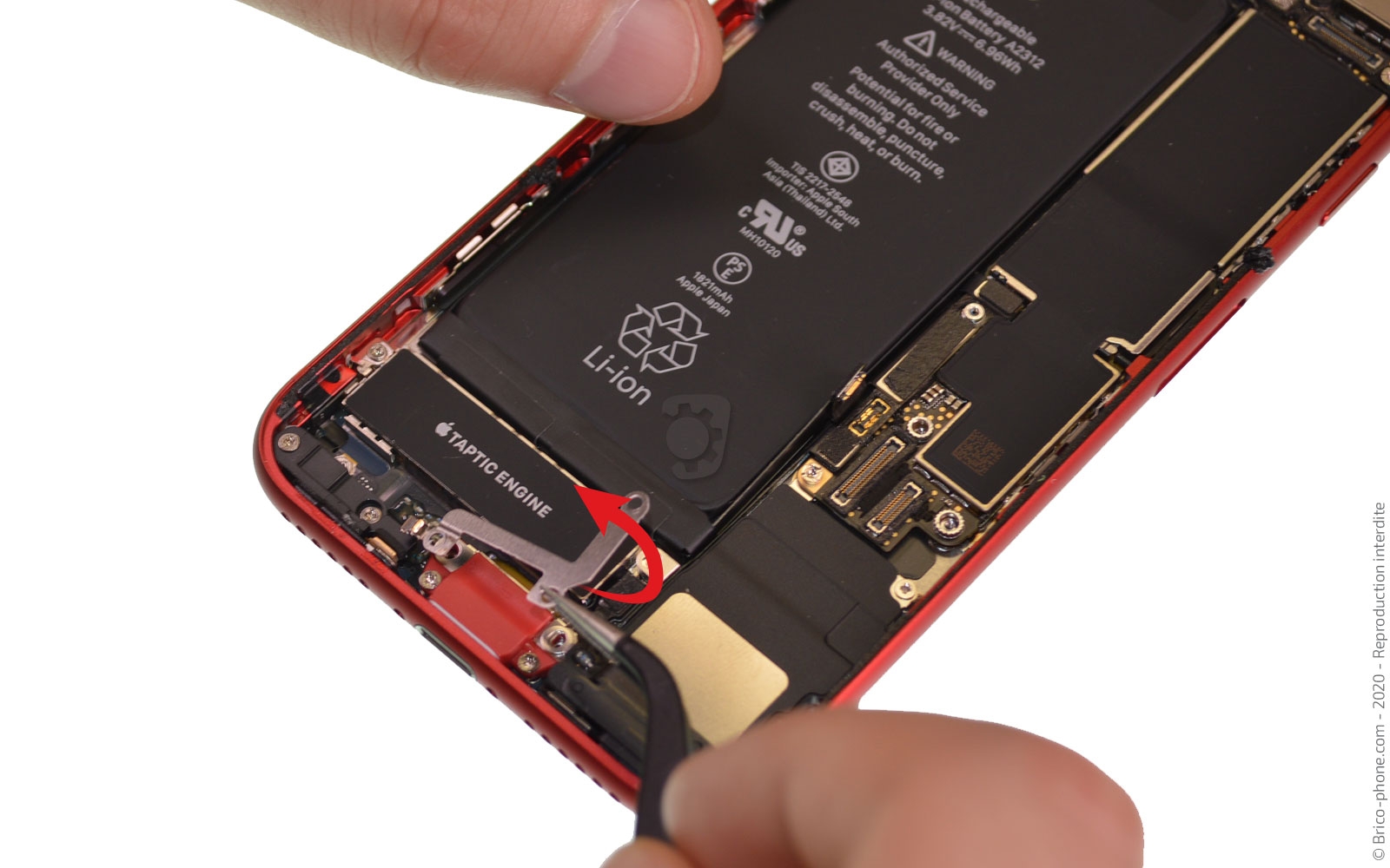 Changement du Taptic Engine (vibreur) sur iPhone SE 2020 photo 3