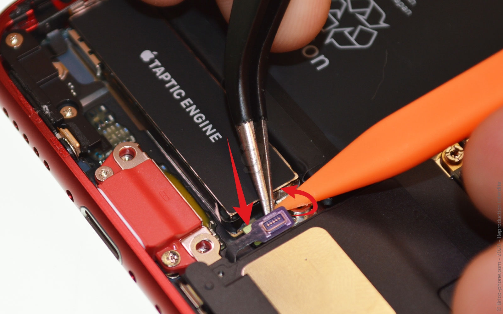 Changement du Taptic Engine (vibreur) sur iPhone SE 2020 photo 3