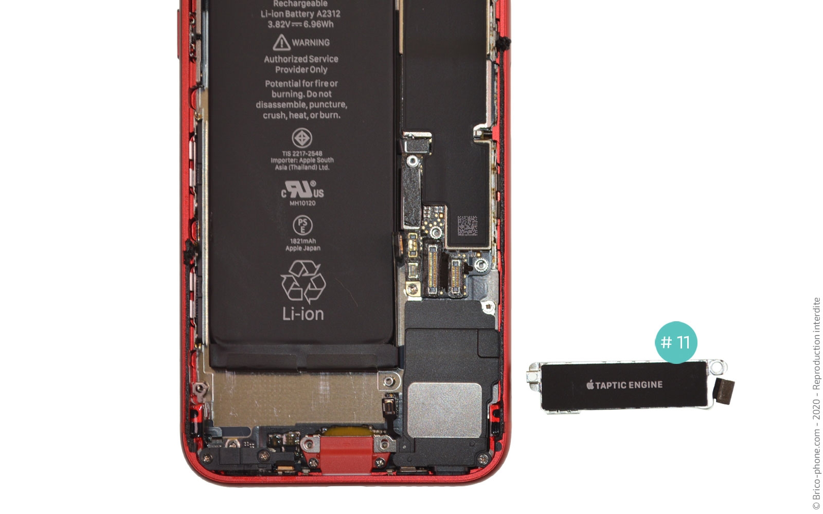 Changement du Taptic Engine (vibreur) sur iPhone SE 2020 photo 4