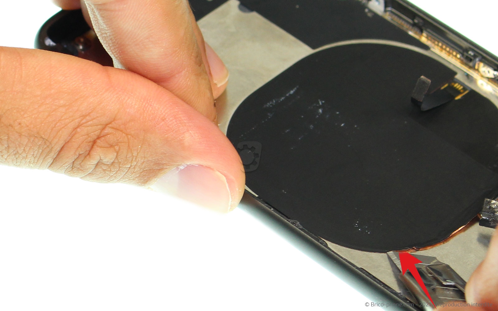 Démontage complet sur iPhone 8 photo 2