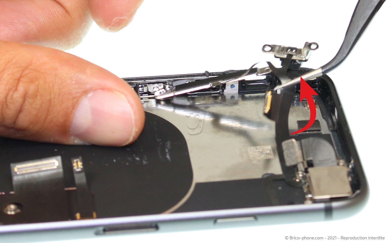 Démontage complet sur iPhone 8 photo 1