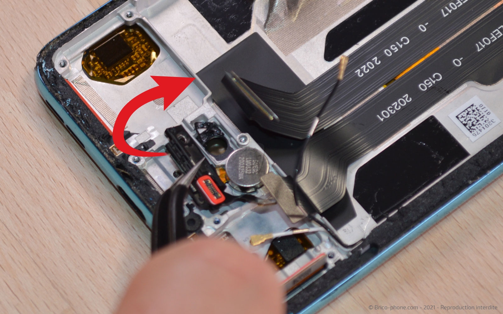 Démontage complet sur OnePlus Nord photo 1